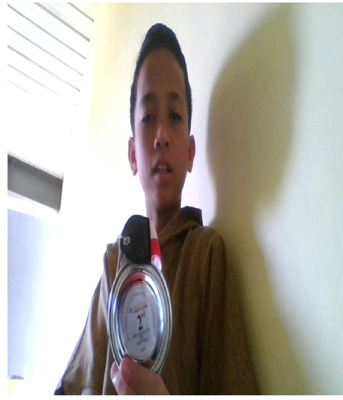 NESO STUDENT ONLINE 2019